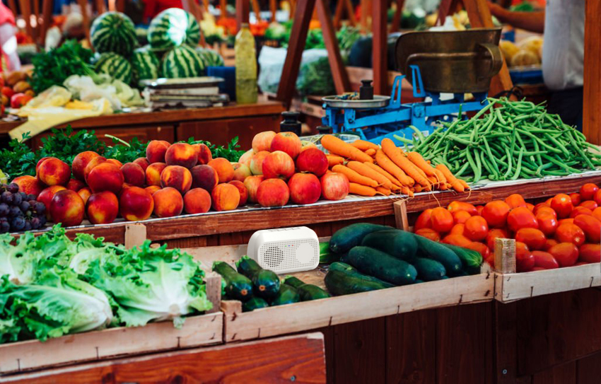 Barraca de Frutas e Verduras